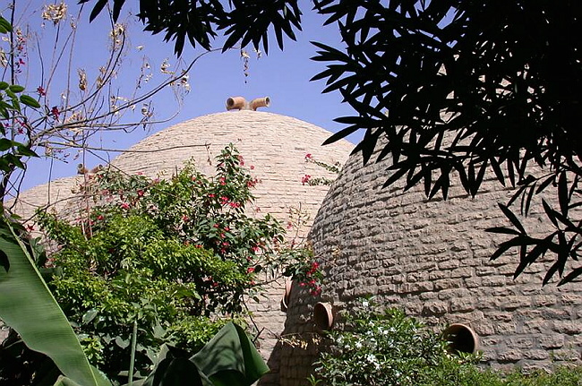DSCN4405.JPG