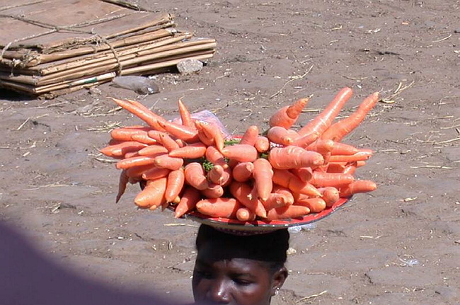 DSCN4434.JPG